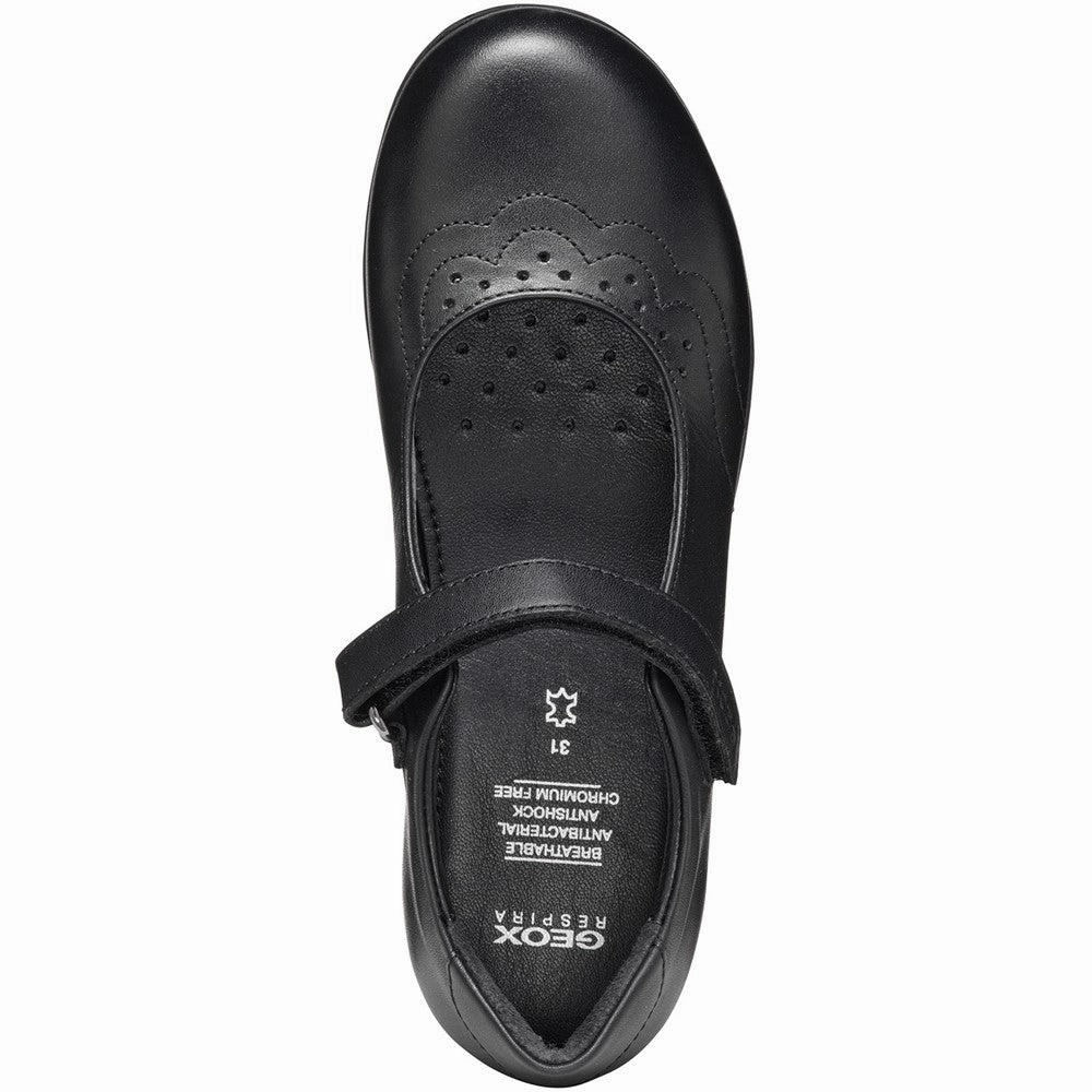 Geox J Iberide A Ballerina School Shoes Size 6 Lane Shoes Flats