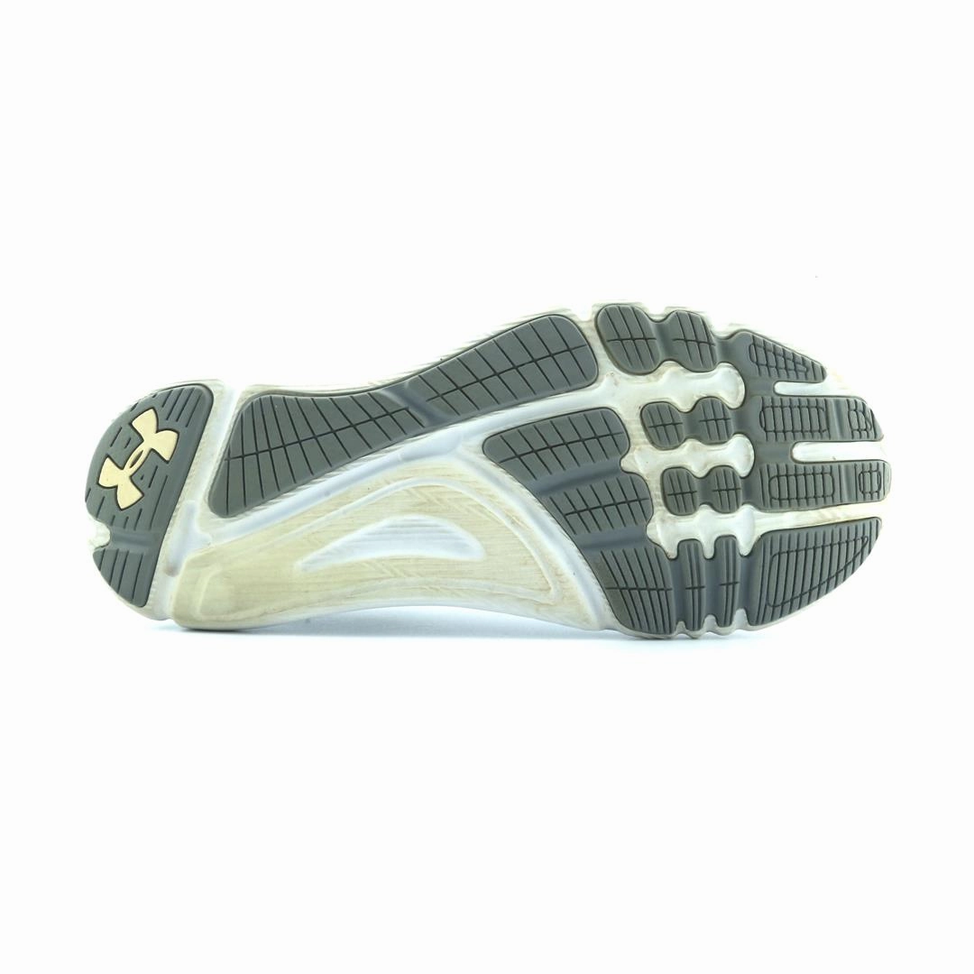 UNDER ARMOUR SPEEDFORM APOLLO 2 Surge 4 Running Shoes