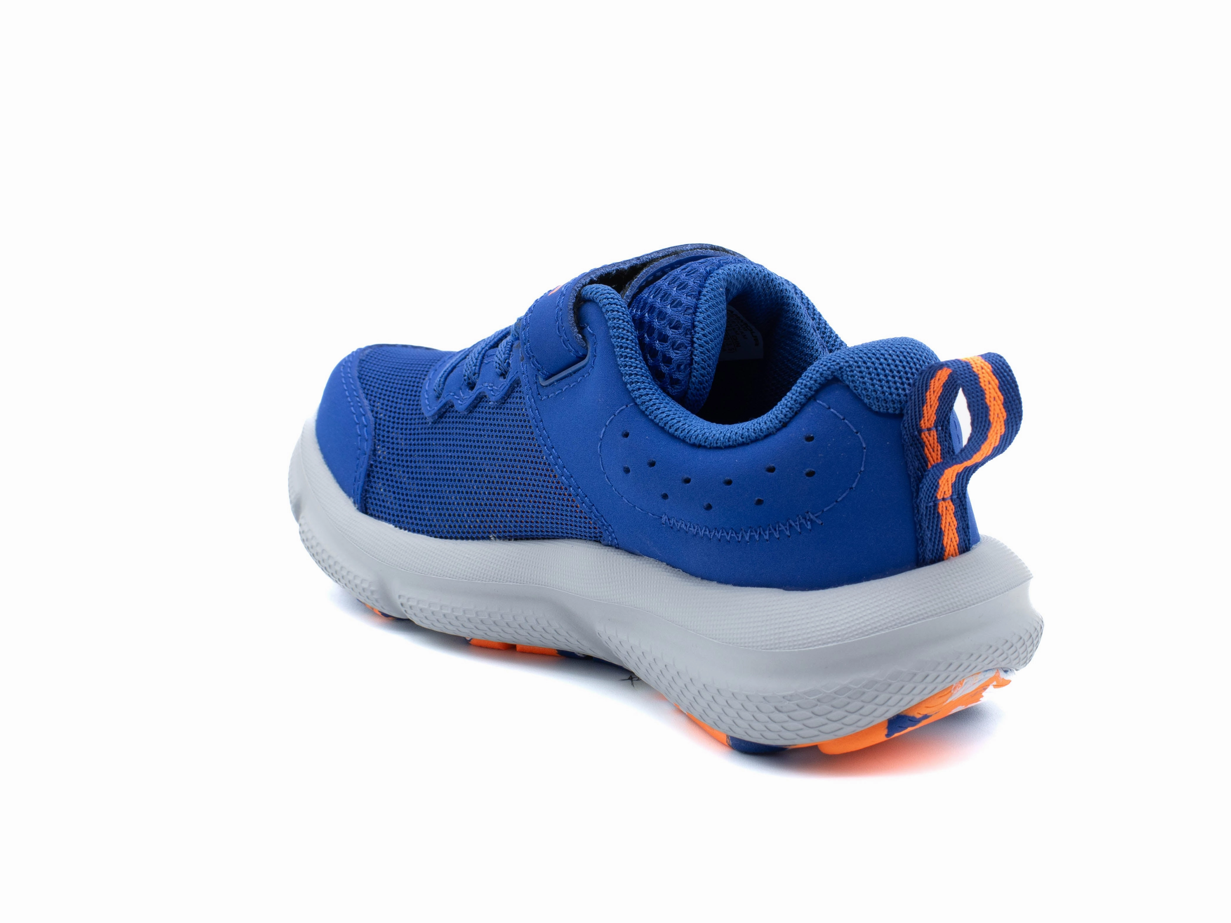 UNDER ARMOUR Assert 10 Trail Rider Gore-tex Trail Running Shoes